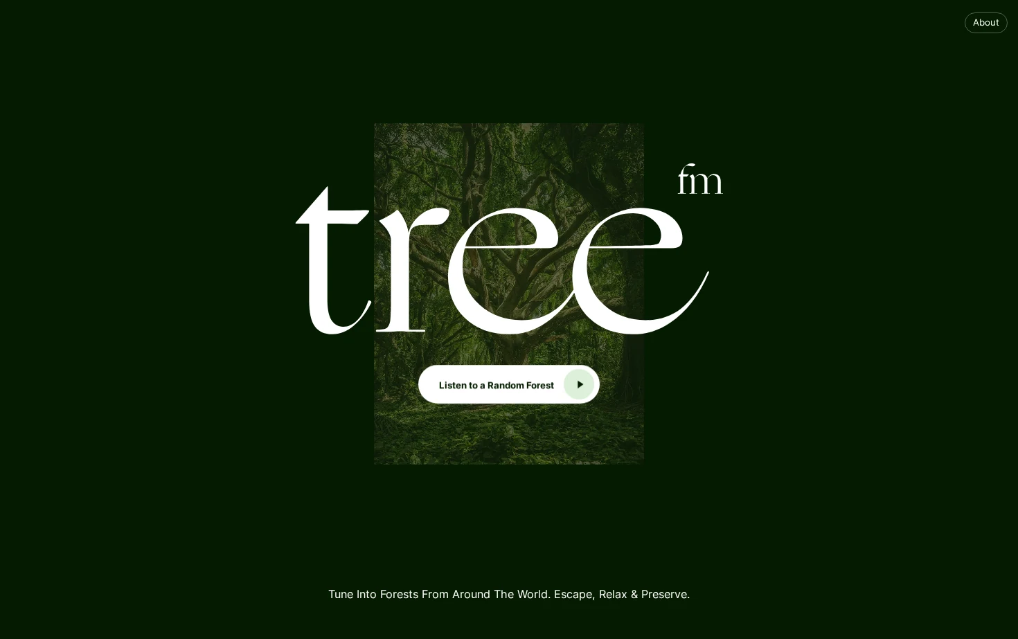 tree.fm 页面快照